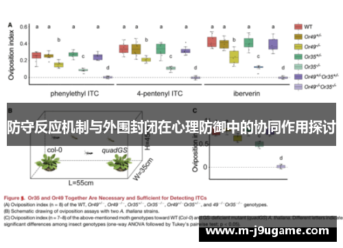 防守反应机制与外围封闭在心理防御中的协同作用探讨