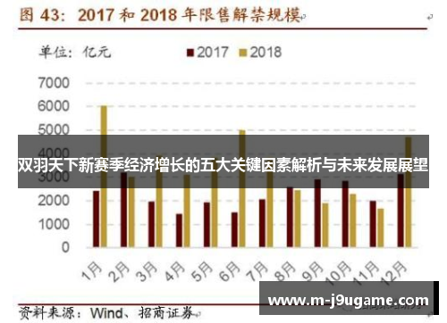 双羽天下新赛季经济增长的五大关键因素解析与未来发展展望